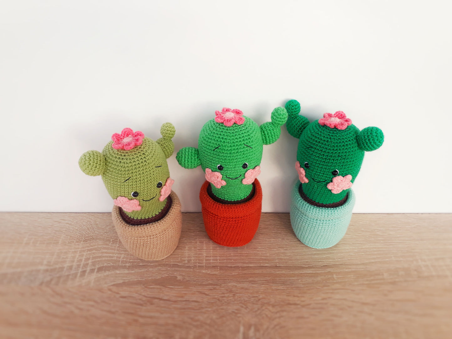 Cactus PDF Pattern, home decor toys pattern, amigurumi pattern, crochet cactus friends home decor