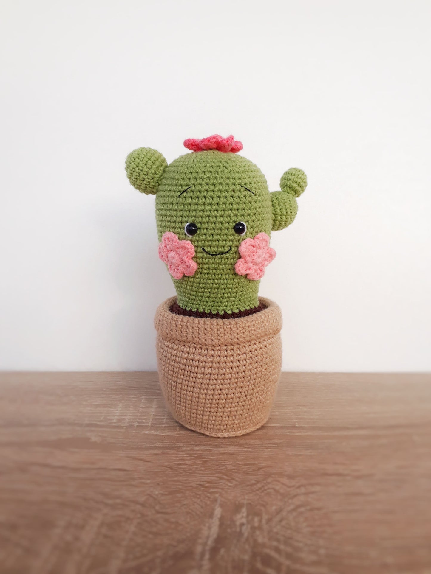 Cactus PDF Pattern, home decor toys pattern, amigurumi pattern, crochet cactus home decor