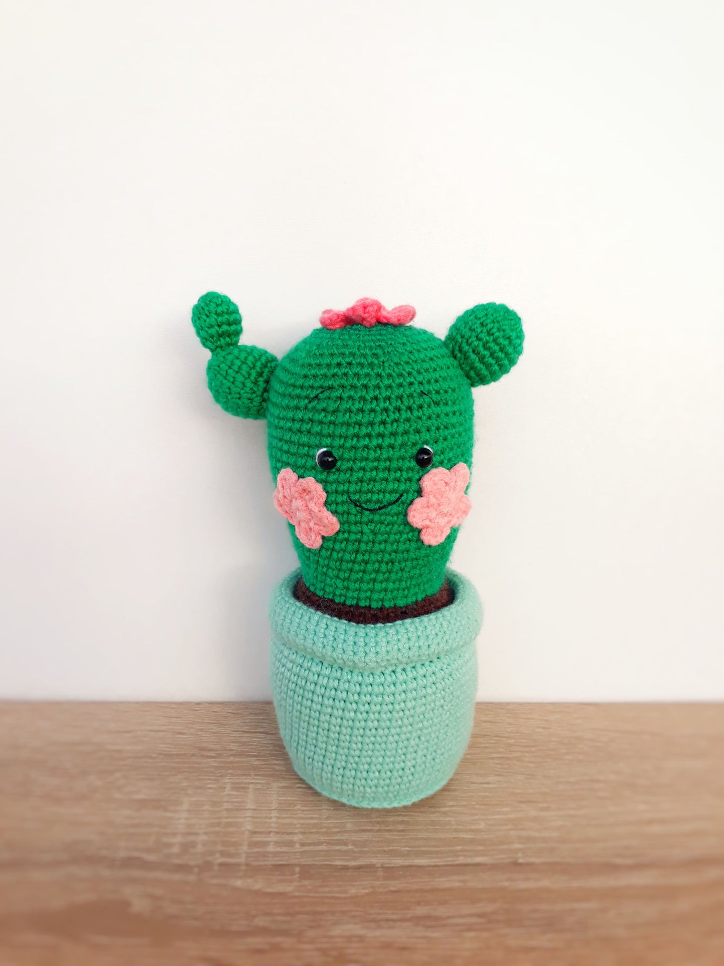 Cactus PDF Pattern, home decor toys pattern, amigurumi pattern, crochet cactus home decor